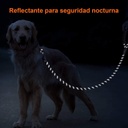 Correa Mascotas Reflejante Resistente 1.5m Dispensador Bolsa