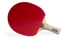 Raqueta Ping Pong Spin Pro Para Principiantes Madera 